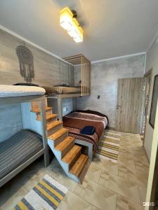 Кипарис - 103