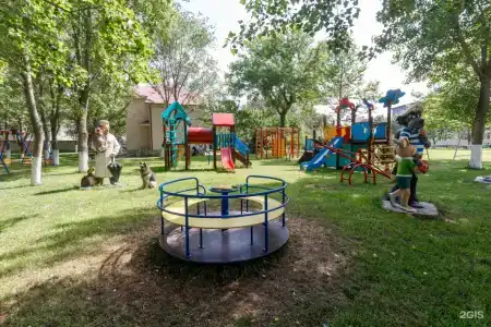 Дельфин - 64