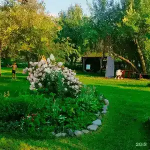 Яблоневый сад - 10