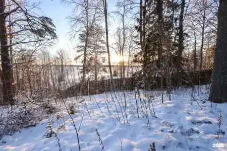 Рассвет - 11