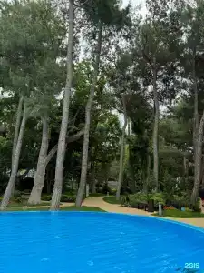 Приморье Grand Resort - 37