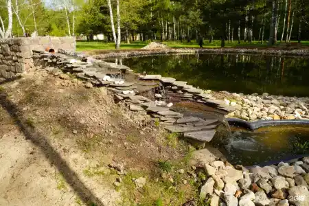Золотой Куркозель - 9