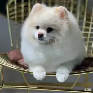 Дом с баней ОранжХаус - 28