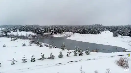 Журавка - 100