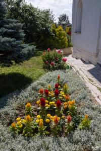 Саттва - 18