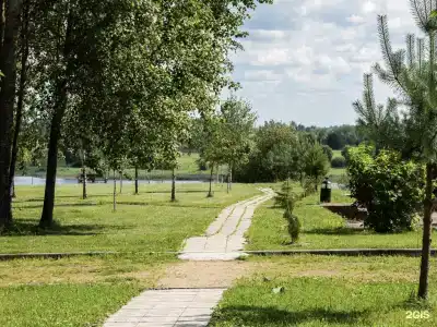 Зазерки - 6