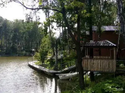 Золотая рыбка - 29