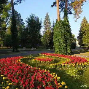 Сосновый бор - 27