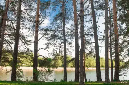 Русская охота - 33