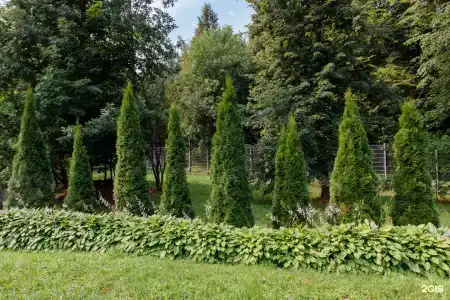 Парк - 46