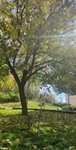 Звёздный - 97
