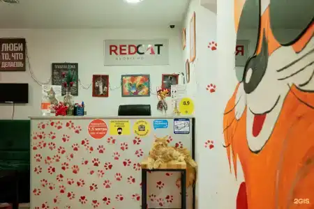 Red Cat - 37