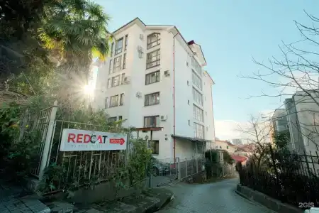 Red Cat - 19