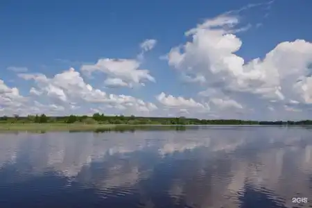 Ласточкин дом - 22
