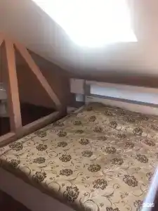 Звездный - 36