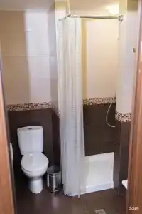 Зихия - 81