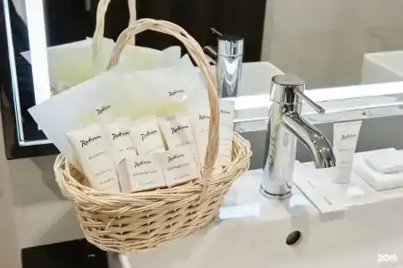 Radisson & Congress Center Saransk - 70