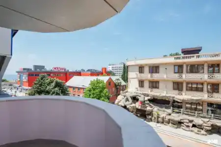 Дельфин - 20