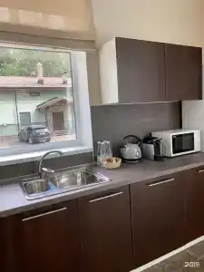 Репинский курорт - 106