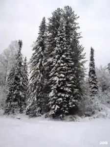Куатанг - 24