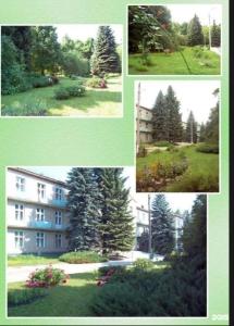 Тонус-плюс - 62