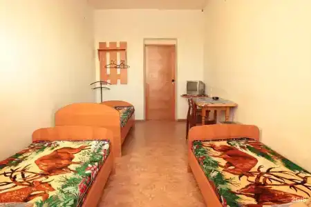Народный - 11