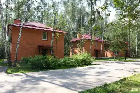 Загородный клуб Айвенго Джунгли - 55
