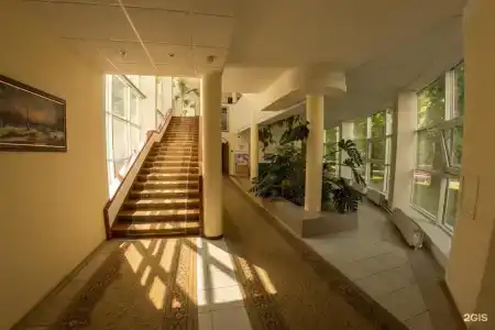Сосны - 82