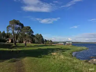 Кедр Грасс Белое Море - 63