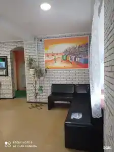 Панда - 4