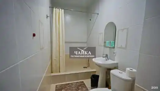 Агава - 41