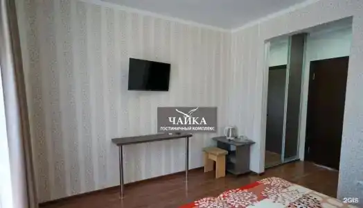 Агава - 36