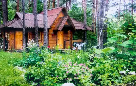 Altai Star - 25