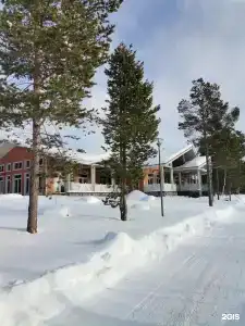 Лесная - 51