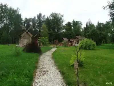 Дубки - 50