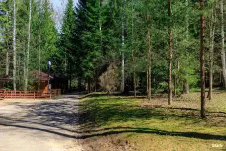 Истра Холидей - 80