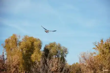 Скорняково-Архангельское - 42