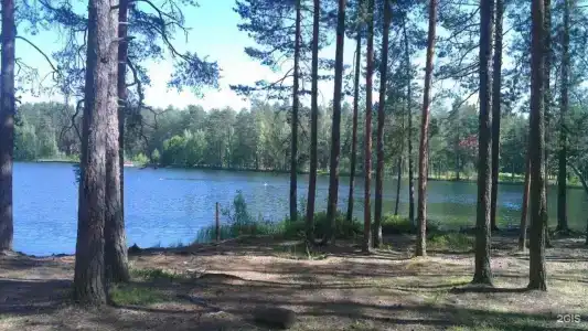 Ежевика. Дома в аренду - 12