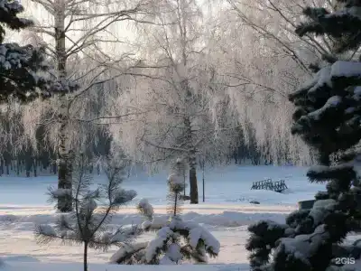 Берендеевка - 53