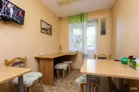 Деревянная сова - 21