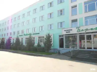 Березка - 49