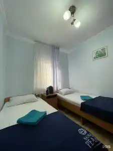 Киви и Цитрус - 49