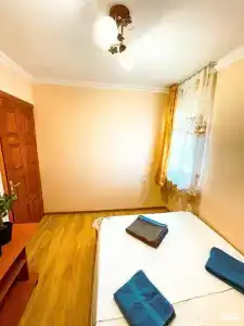 Киви и Цитрус - 41