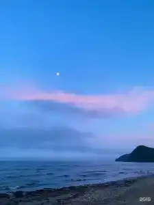 Красный кот - 50