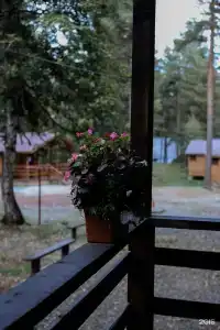 Валентина - 57