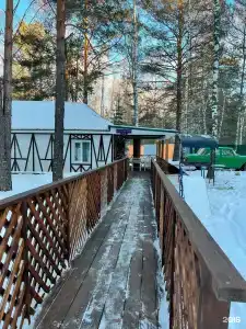 Белая сова - 38