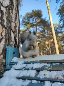 Прокопьевский - 0