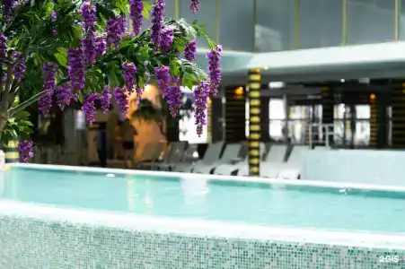 Grand Wellness Novahovo & Spa - 43
