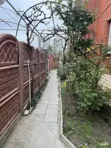 Гортензия - 20