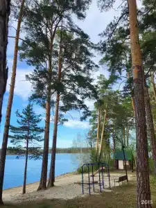 Родники - 29